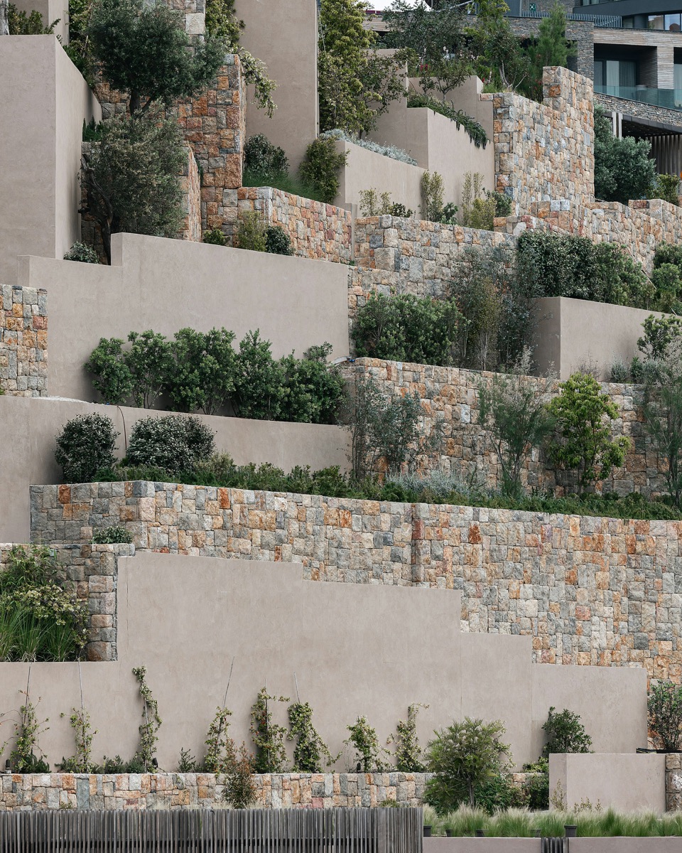 Terraced stone and rendered retaining walls with layered planting